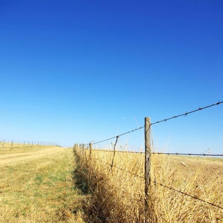 Feature pic 1-Agriculture-Western-Fence