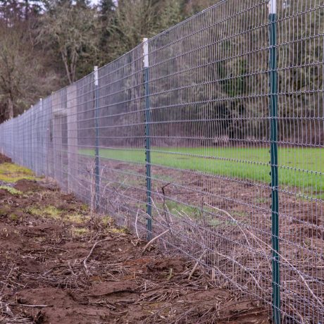 Feature pic 4-Agriculture-Western-Fence