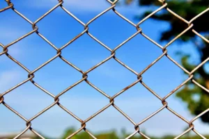 Close-up of a rusted chain-link fence with a blue sky and green trees in the background.