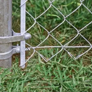 Close-up of a metal chain-link fence gate latch with grass at its base.
